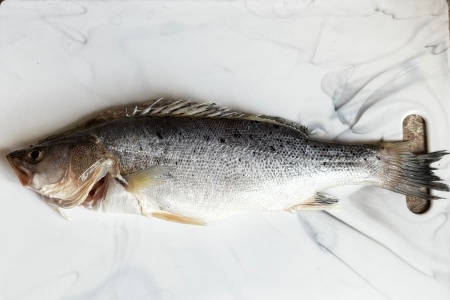 сузуки целый (2)