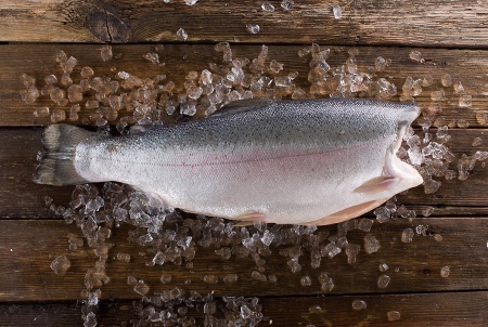 форель морская (8)