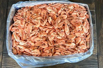 Креветка северная, 250+, 5кг