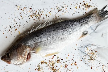 Окунь морской Сузуки