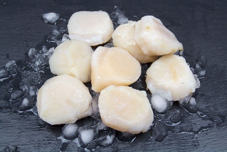 гребешок крупный 2 (3)