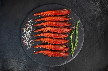 Креветка красная Карабинерос, 20/32