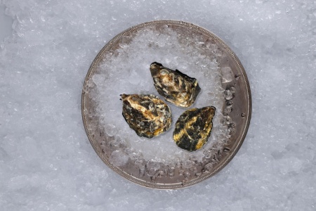 Стелла Марис (2)