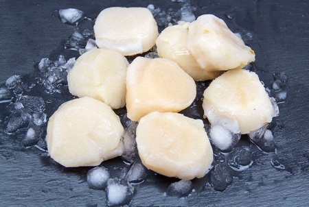 гребешок крупный 2 (3)