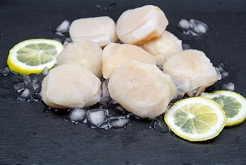 Гребешок сахалинский, очищенный, крупный