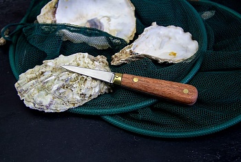 Нож для открывания устриц