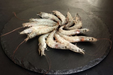 креветка ванамей 50-60 блок (3)