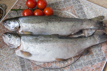 форель речная (12)