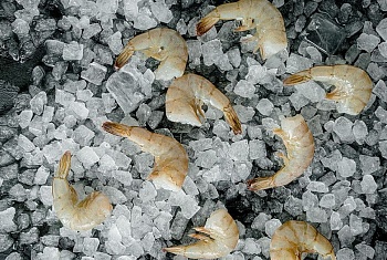 Креветка королевская ваннамей блочной заморозки, в панцире, без головы, 26/30