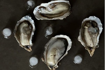 Устрицы на створке