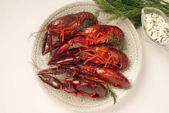 Раки целые в панцире, 22-33 шт в кг