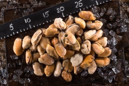 мидии очищен. 2