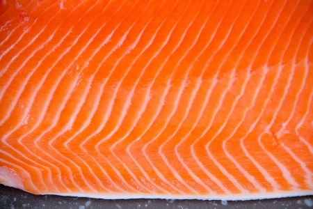 кижуч филе 4