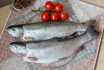 Форель радужная, непотрошеная с головой, 1,2-1,5