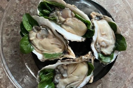 Устрицы (5)