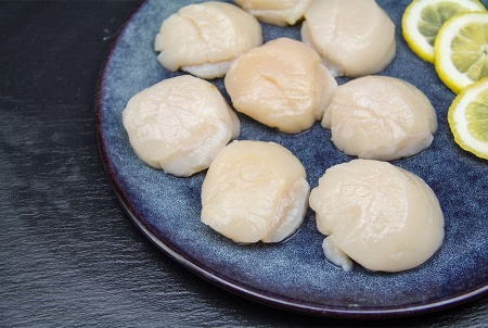 гребешок крупный 4