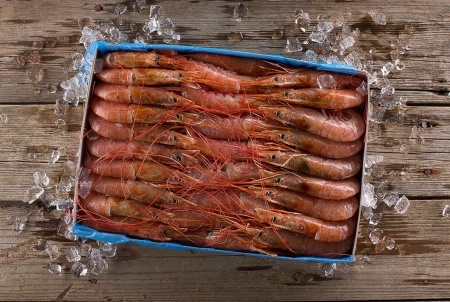 лангустино L2 3