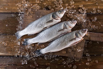 Сибас, целый