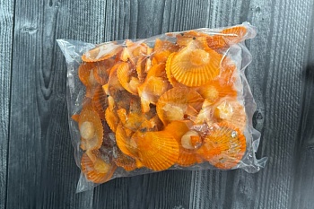 Гребешок золотой, на полустворке