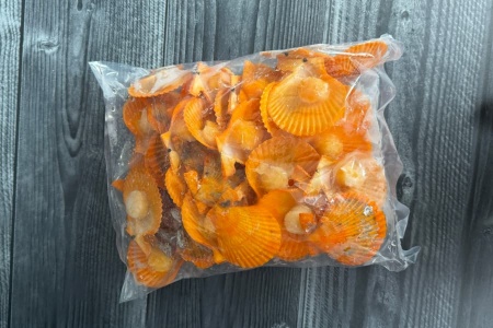 гребешок золотой (3)