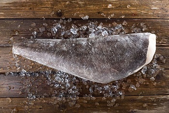 Чилийский сибас (клыкач)