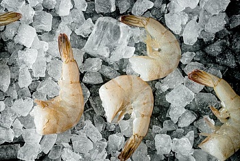 Креветка Королевская, ваннамей, в панцире, без головы,  26/30