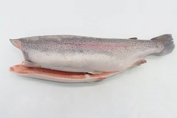 Форель, потрошеная, без головы 1,8-2,7 кг, Тибет