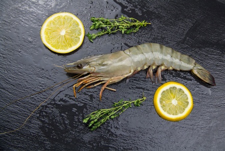 Креветка тигровая 13 3