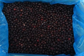 Черная смородина, 10 кг