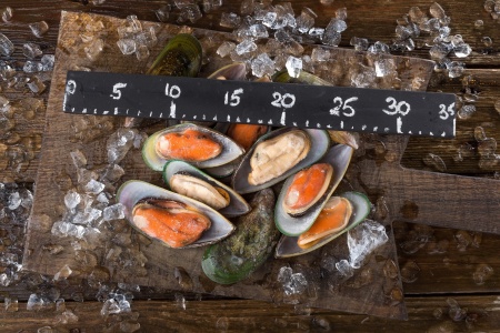 мидии киви зеленые 2